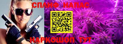 стафф Будённовск