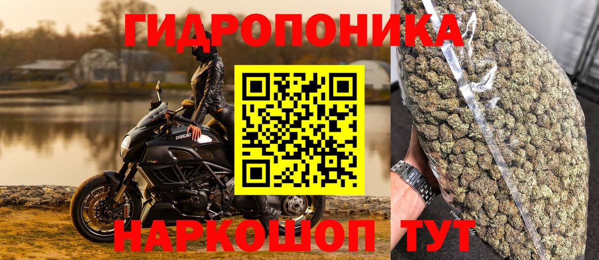 Конопля планчик Одинцово
